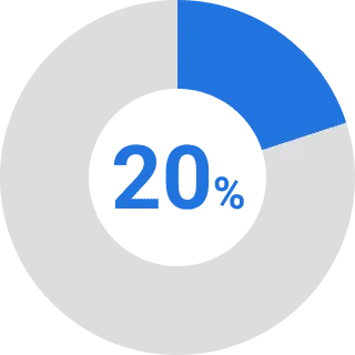20%